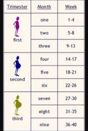 How to Convert 15 Weeks into Months Easily