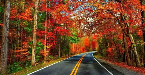 15. Autumn road wallpaper