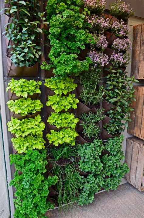15. Use vertical space in a small garden