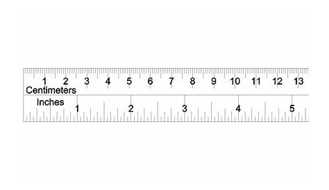 16 Cm Actual Size Ruler Measurements, Skills To Learn, Learn