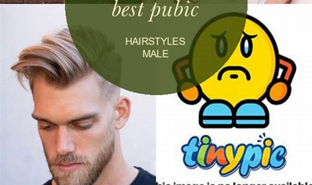 16+ Luxury Pubic Hair Styles For Guys