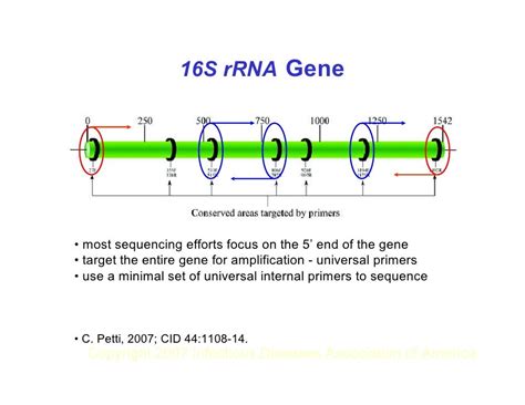 16s rrna marker gene sequencing