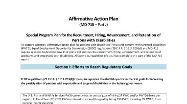 17 affirmative action