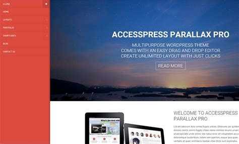 17. AccessPress Parallax