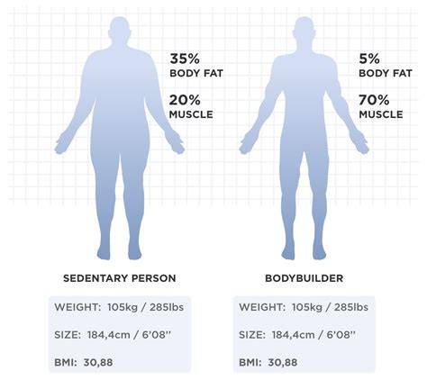 178cm 80kgで筋肉量と体脂肪率の違いを比較するイメージ