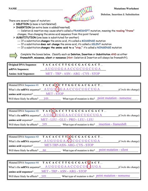 18 Best Images of Mutations Worksheet Answer Key Practice - DNA