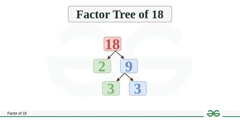 18 Factor Tree