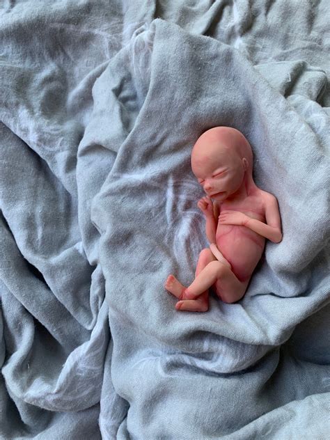 What Does an 18 Week Fetus Look Like: Developmental Milestones and Baby's Growth