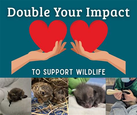 18. Create impact with a matched scheme