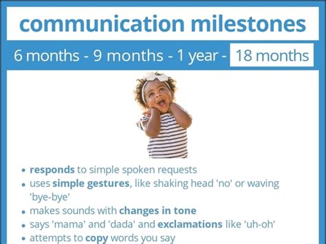 Silent Symphonies: Decoding the Mystery of a 19-Month-Old's Speech Delay