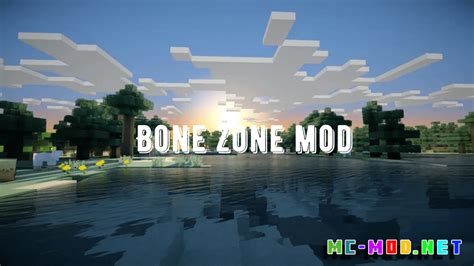19 bone no zone