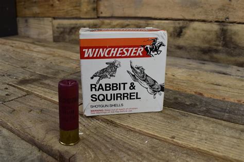 1975 Remington 12 Gauge Shotgun Shells For Rabbit Squirrels