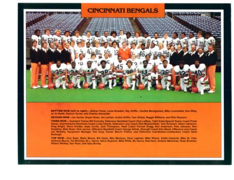 1981 cincinnati bengals roster