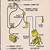1982 mustang ignition wiring diagram