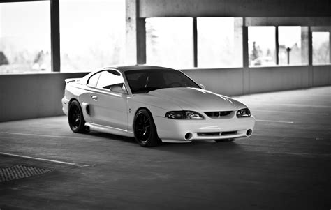 saleen, S281, Ford, Mustang, Muscle Wallpapers HD