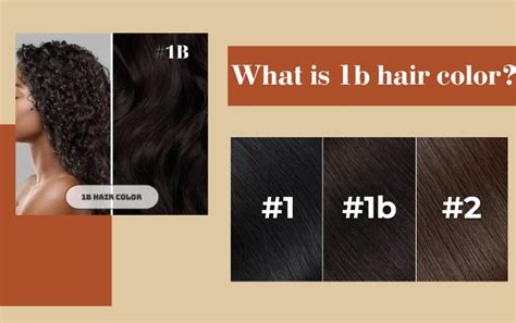 1b Hair Color