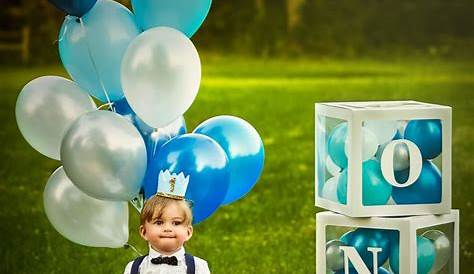 1st Birthday Photoshoot Ideas Boy Outdoor First Get More Anythink's