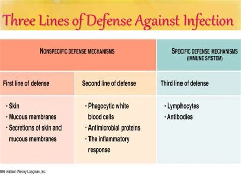 1St Line And 2Nd Line Of Nonspecific Defence Concept Map