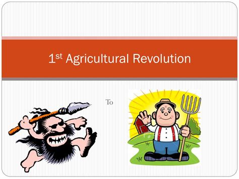 1st agricultural revolution definition