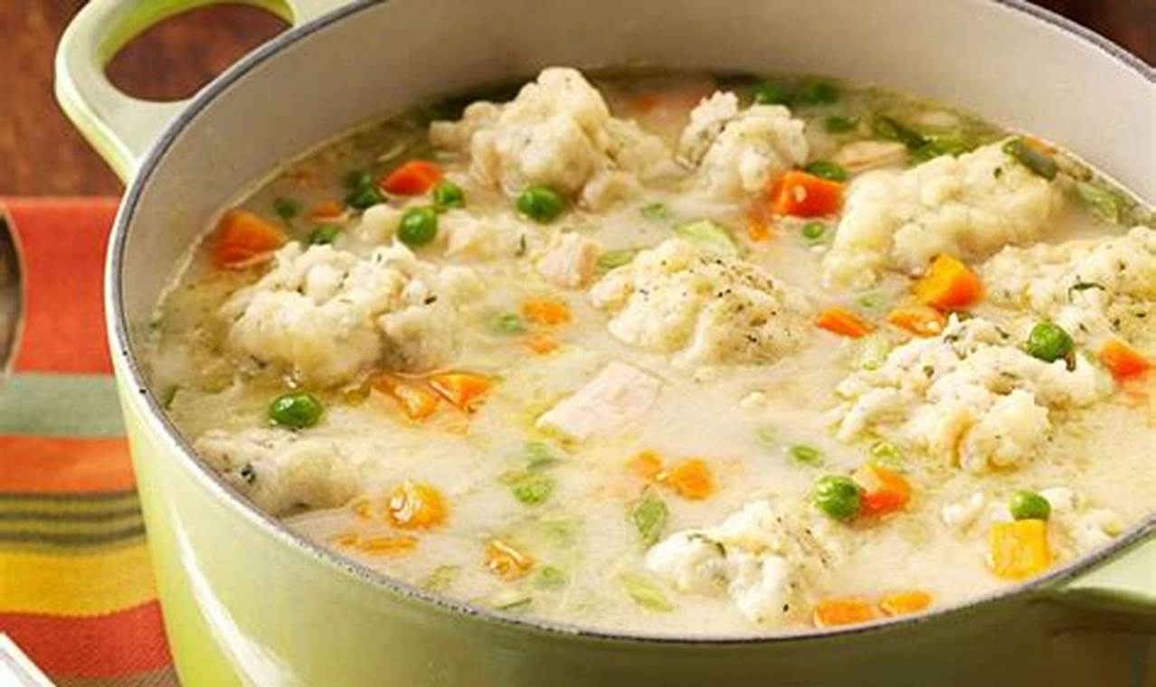 1st recipes easy dumpling soup