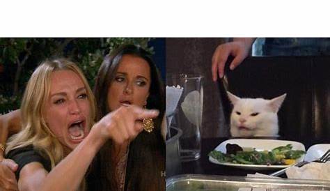 [Meme of the Day] Two Women Yelling at a Cat : KnowYourMeme