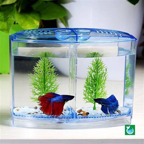 2 Betta Fish Tank