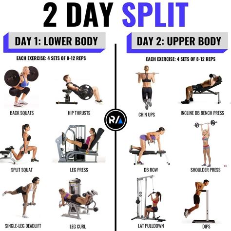 2 Day Gym Workout Routines
