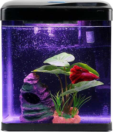 2 Gallon Betta Tank