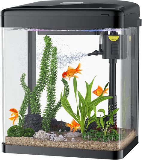 2 Gallon Fish Tank For Betta