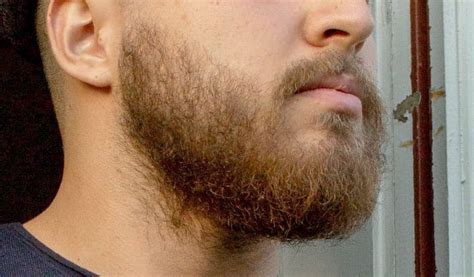 2 Month Beard
