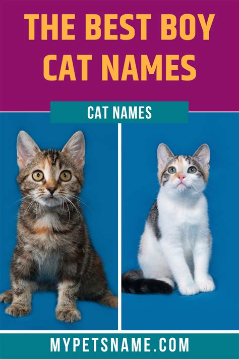 2 boy cat names that go together