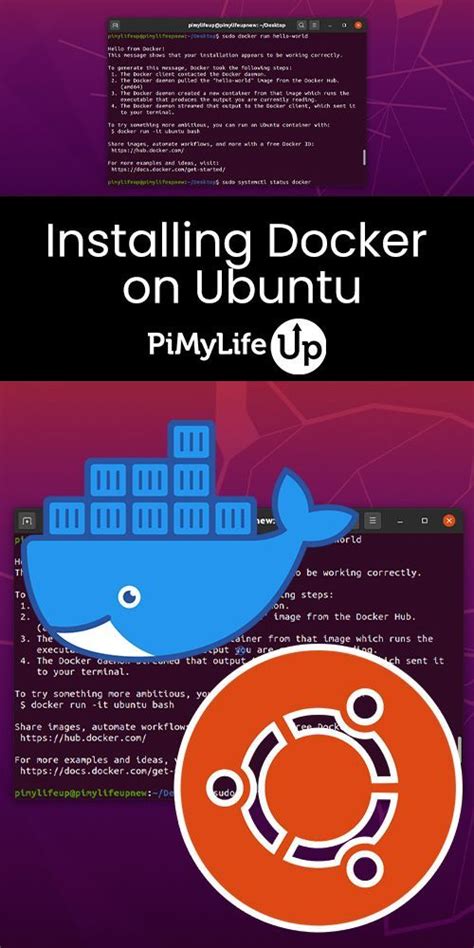 2 dockers installed on ubuntu server