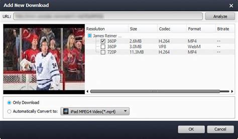 2. Copy and paste the video URL