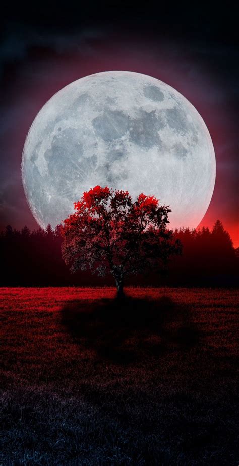 2. Beautiful iPhone moon wallpaper