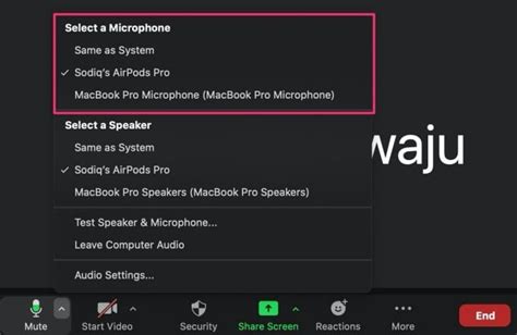 2. Check Zoom’s Microphone Selection
