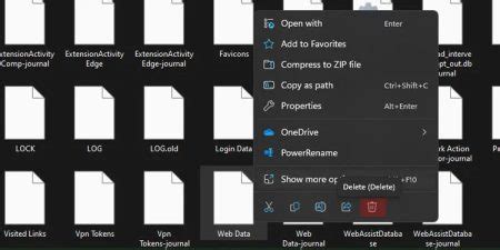 2. Delete the Web Data File