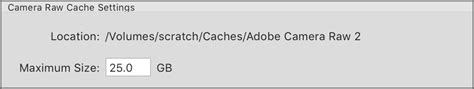 2. Increase the Max raw cache size ( Camera Raw Cache Setting )