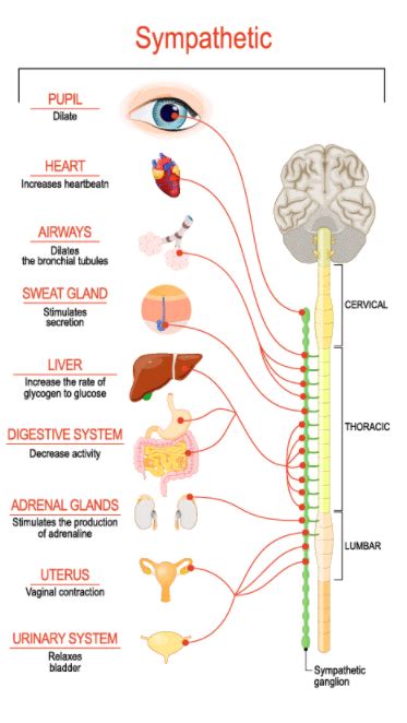 2. Increase value with a sympathetic structure