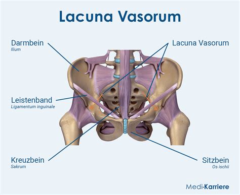 2. Lacuna