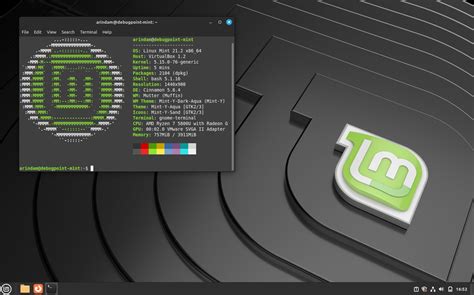 2. Linux Mint