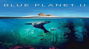 2. Planet Earth