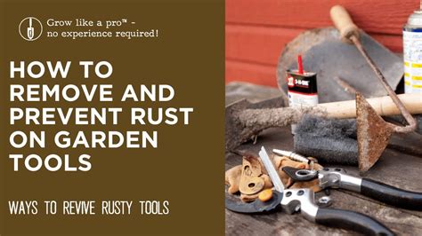 2. Remove rust from garden tools