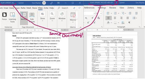 2. Two windows for the same document