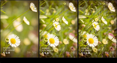 2. Use low ISO and large aperture number