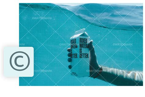 2. Watermark Photo: Add Copyright