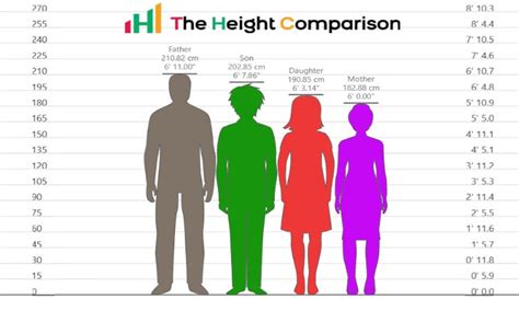 Lets See 2.06 M In Height More