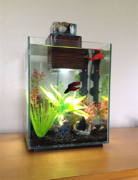 2.5 Gallon Betta Tank