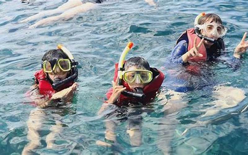 20 Judul Lokasi Snorkeling Di Tanjung Benoa