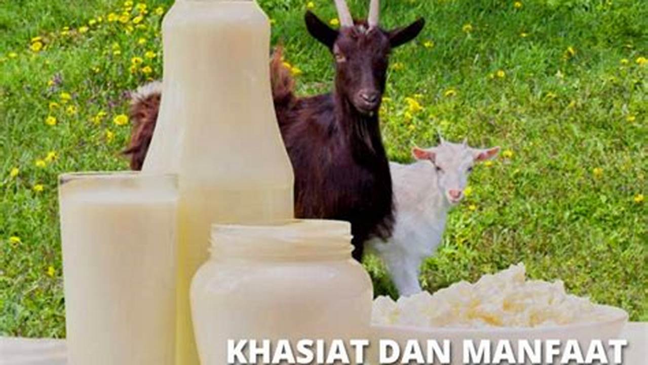 20 Manfaat Susu Kambing Etawa yang Wajib Anda Ketahui