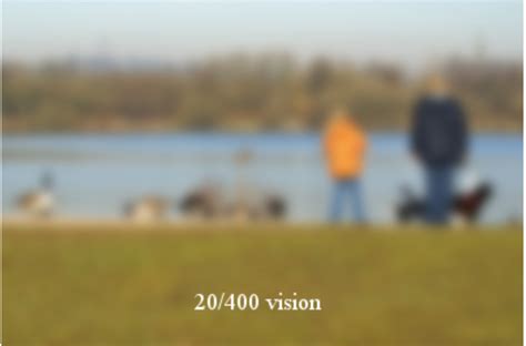 20/600 vision simulator